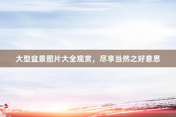 大型盆景图片大全观赏，尽享当然之好意思