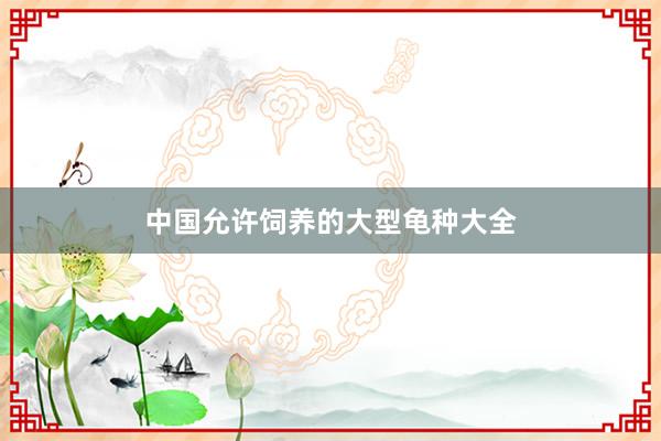 中国允许饲养的大型龟种大全